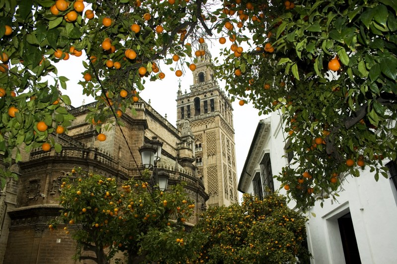 Foto de Pza Del Azahar en Isla Mayor, Sevilla